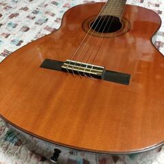 YAMAHA G-100Dの画像