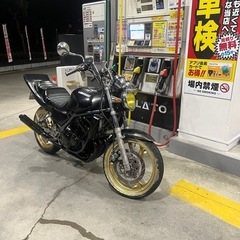 バリオス 今月限定