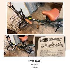 さいたま市引き取り大宮公園ブリヂストン20インチシティサイクルBAAブラウン さいたま市引き取り大宮公園ブリヂストン20インチシティサイクル