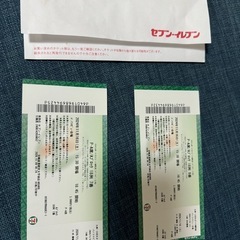 ハウステンボス❗️花火チケット❗️2枚❗️の画像