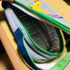 淀川区です！哺乳瓶ケースの画像