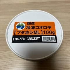 国産　冷凍コオロギ【フタホシML】