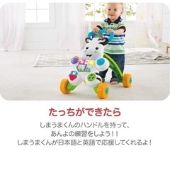 しまうまのベビーウォーカーの画像