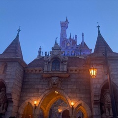 ディズニー好きな人