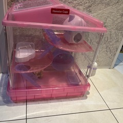 ペット用品の画像