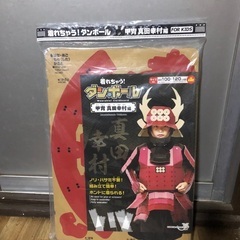甲冑の中古が安い！激安で譲ります・無料であげます(2ページ目