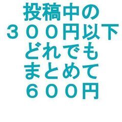 出品中の300円以下どれでもまとめて600円