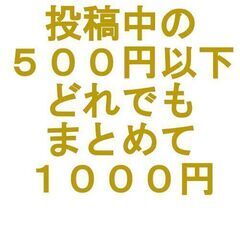 出品中の500円以下どれでもまとめて1000円