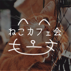 【明日です】猫カフェに行きませんか〜