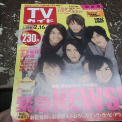 ＴＶガイド 2007.2.16●NEWS/堂本光一/篠原涼子/小...