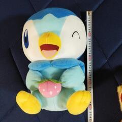 ポケモン　大きなポッチャマの画像
