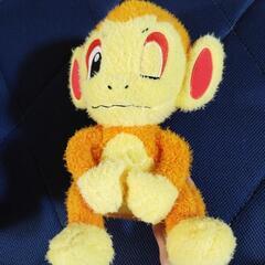 ポケモン　ふわふわサルノリ