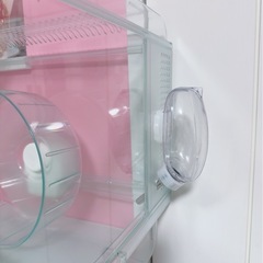 取引中ハムスターグラスハーモニー600の画像