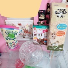 取引中ハムスターグラスハーモニー600の画像