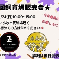 11/24(日)飼育場販売会　めだか掬い　対面販売　無人販売