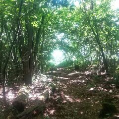 低山でも360度の大展望！初心者も楽しめる人気の霧訪山へ − 長野県