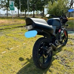 ns-1 後期