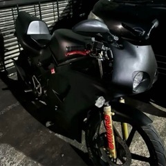 ns-1 後期の画像