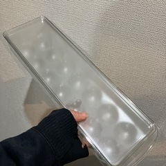 卵入れ　ケース