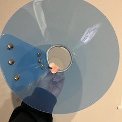 エリザベスカラーの画像