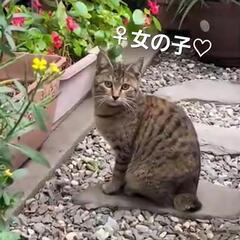 ♀女の子♡1才