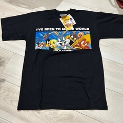 メンズ　Tシャツ　Mの画像