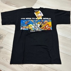 メンズ　Tシャツ　Mの画像