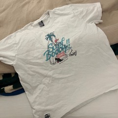 チャムス　tシャツ　エルサイズ