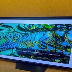 55型 有機EL OLED TV テレビ 2020年製 直接取引限定