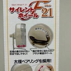 【ゲージ/飼育道具付き】ハムスター