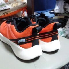 ペプシスニーカーの画像