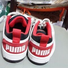 プーマー　スニーカーの画像