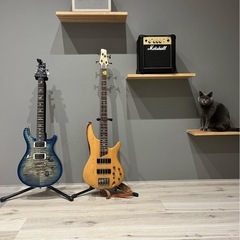 高崎でバンドメンバー募集！🎸
