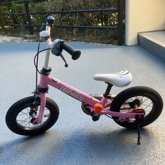 d-bike MASTER 12