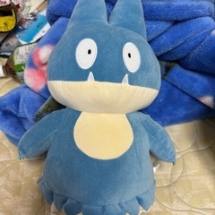 ポケモンぬいぐるみ