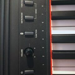 御値下げ中　Roland ローランド 電子ピアノ DigitalPiano GOシリーズ 88鍵盤 GO-88Pの画像