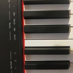 御値下げ中　Roland ローランド 電子ピアノ DigitalPiano GOシリーズ 88鍵盤 GO-88Pの画像