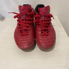 早い者勝ち　NIKE LIGERA2