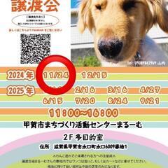 11月24日　保護犬　保護猫　譲渡会