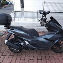 2023年　PCX jk05 グリップヒーター付きの画像