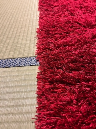 Francfranc カーペット大