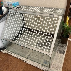 飼育ケース　
