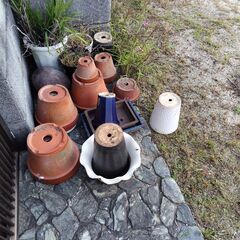 本日最終日です。植木鉢　プラスチックではありません　₍大小色々1...