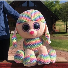 ty ぬいぐるみ　2体セットの画像
