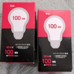 100W形電球（2個）