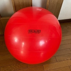 バランスボール　ギムニク