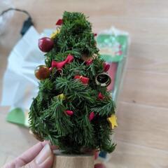 ミニクリスマスツリーとクリスマスキャンドルの画像