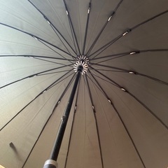 16日処分　美品メンズ傘の画像