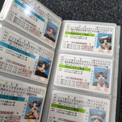 【受け渡し予定者決まりました】【お値下げ❌】なめ猫免許証等の画像