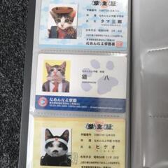 【受け渡し予定者決まりました】【お値下げ❌】なめ猫免許証等の画像